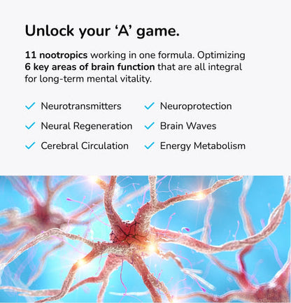 Mind Lab Pro® MLP® v4 Universal Nootropic™